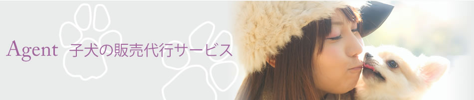 Agent 子犬の販売代行サービス