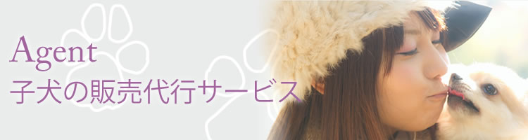 Agent 子犬の販売代行サービス