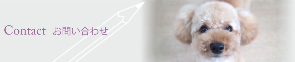 Contact　お問い合わせ