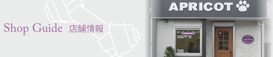 Shop Guide 店舗情報
