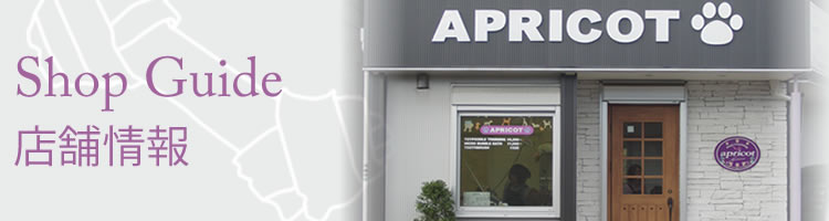 店舗情報｜トイプードルブリーダー＆トリミングサロン 【Dog's Shampoo