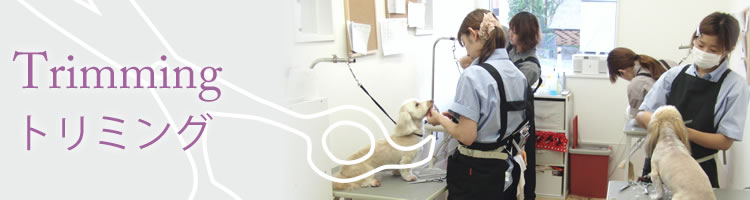Trimming トリミング