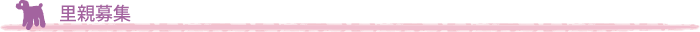 里親募集