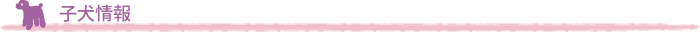 子犬情報