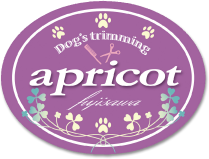 トイプードルブリーダー&トリミングサロン Dog's Trimming Apricot